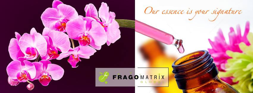 Fragomatrix | Mumbai