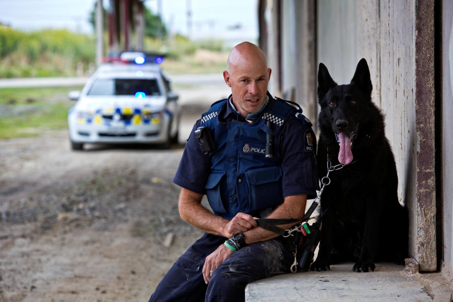 New - Today we pay tribute to Whanganui Police dog Farris, who passed ...
