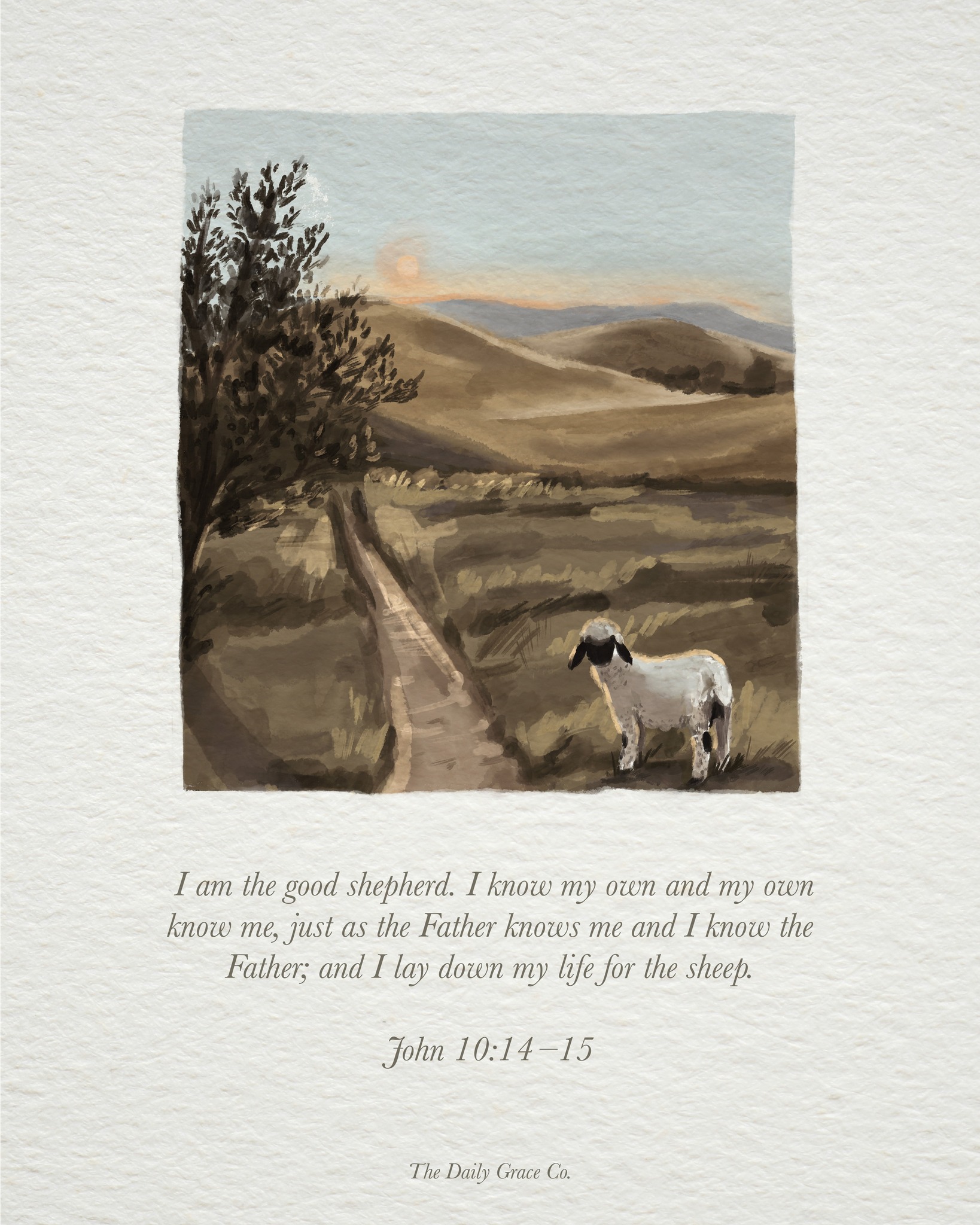 The Daily Grace Co. - In John 10, Jesus calls Himself the Good Shepherd ...