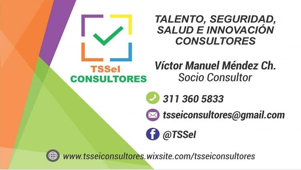 TSSeI Consultores