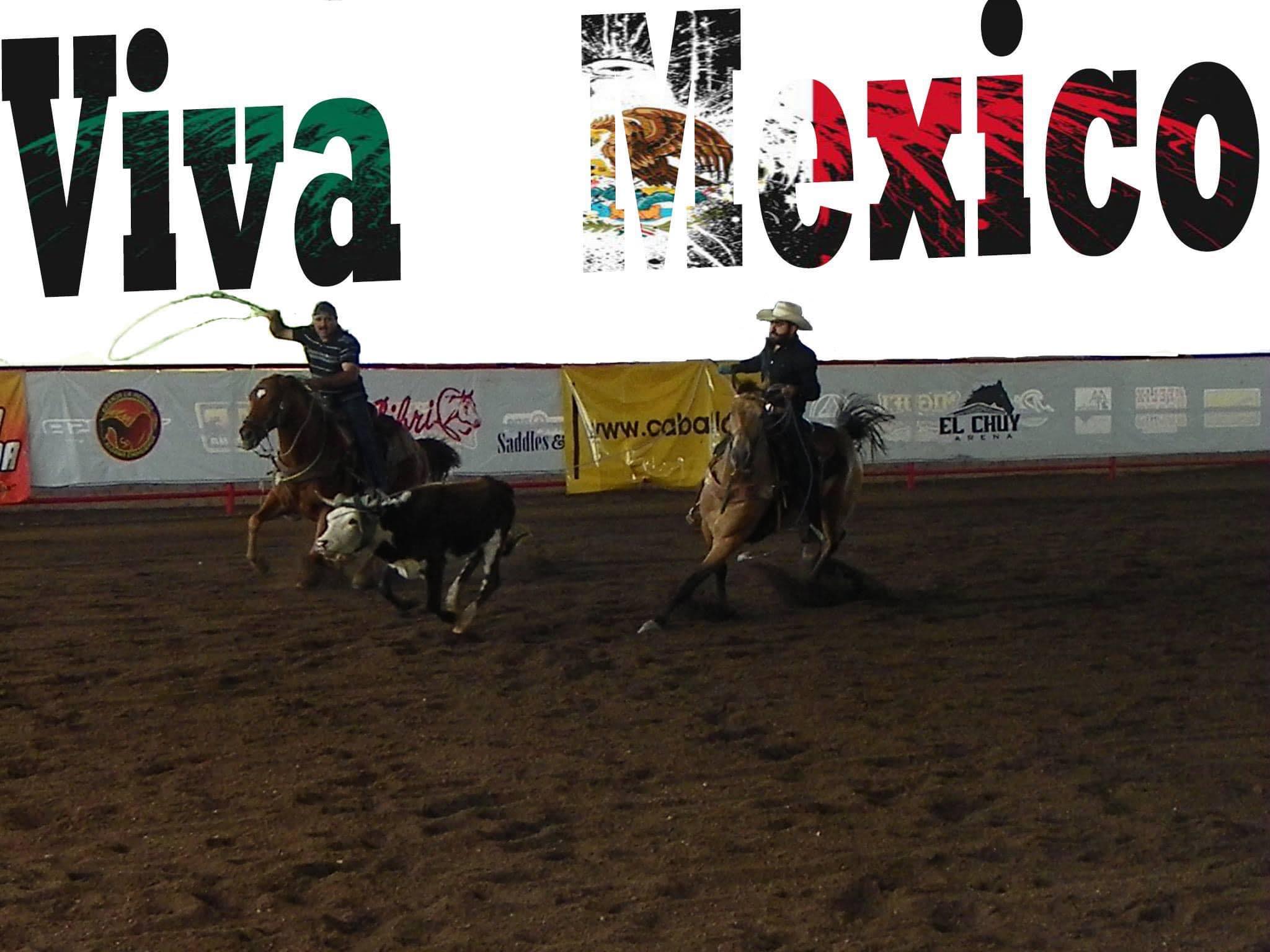 Santa Fe Team Roping Co. | Cuauhtémoc Municipality