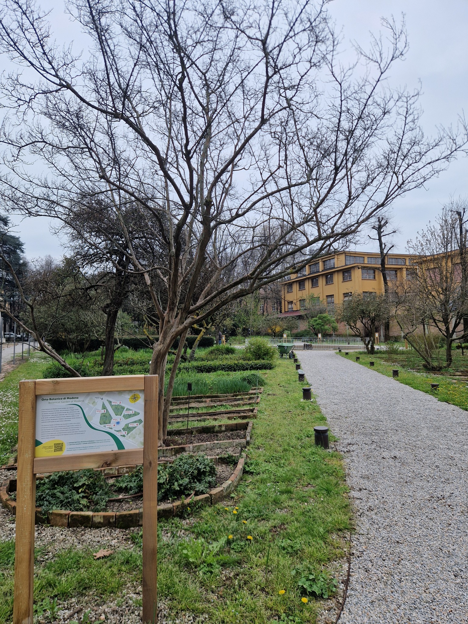 MUSA Multicentro Ambiente e Salute del Comune di Modena | Modena