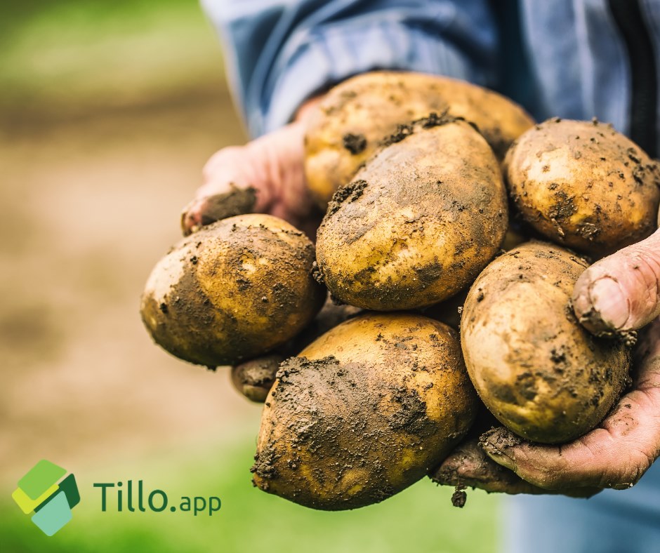 Tillo App