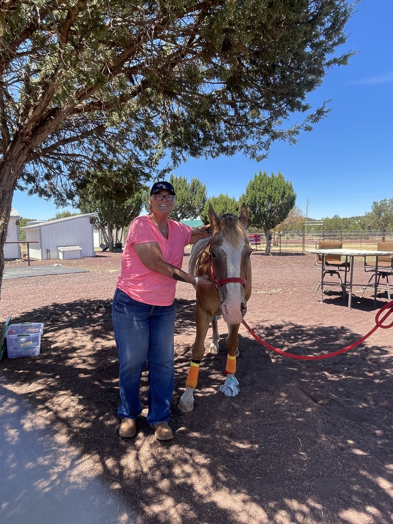 Raven Tree... - Raven Tree Stables LLC: Equine & K9 Education