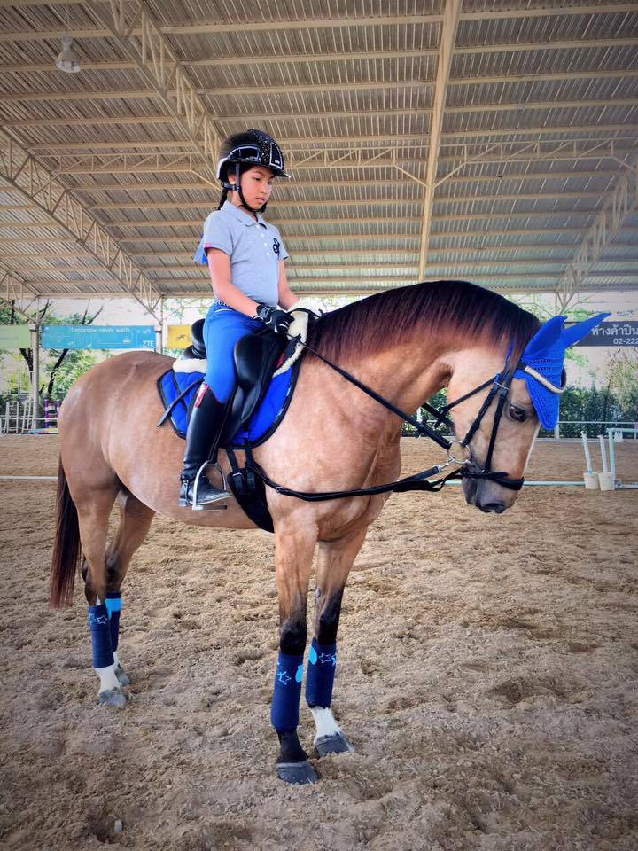 เรียนขี่ม้าในร่ม... - Phoenix Riding Academy By KP | Facebook