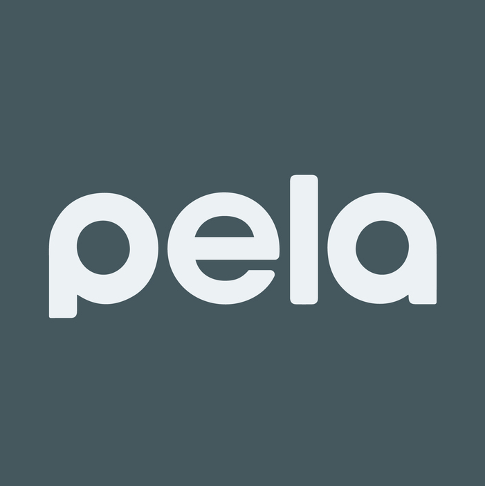 Two new Pela essentials for your work-from-anywhere setup: the JuiceBox ...