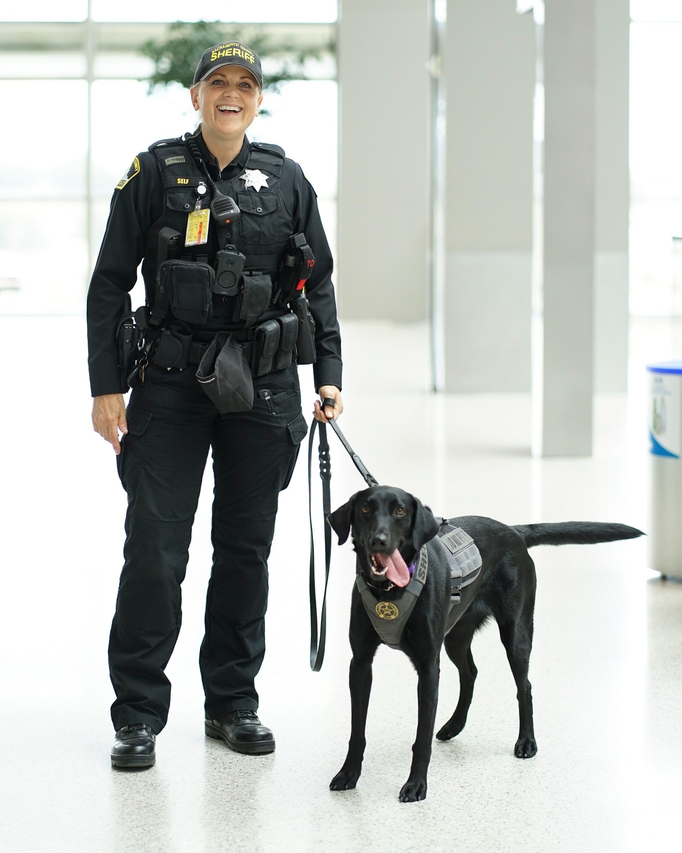 Sacramento - 🐾 Say hi to Stella & Deputy Amy! 🖤🐕 Stella the Labrador ...