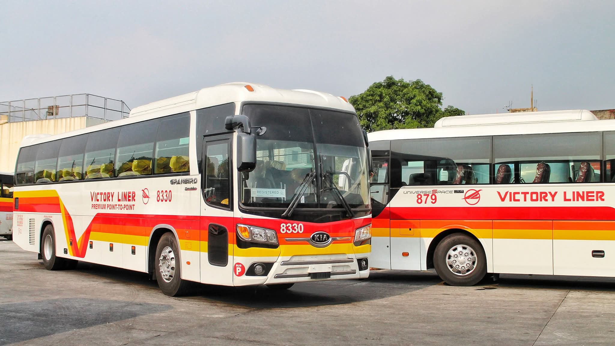 Raptor - Korean Grasshopper 🚌 Victory Liner 8330 🇰🇷 Kia Granbird KM959H ...