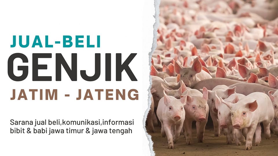 jual beli genjik jawa timur - jawa tengah