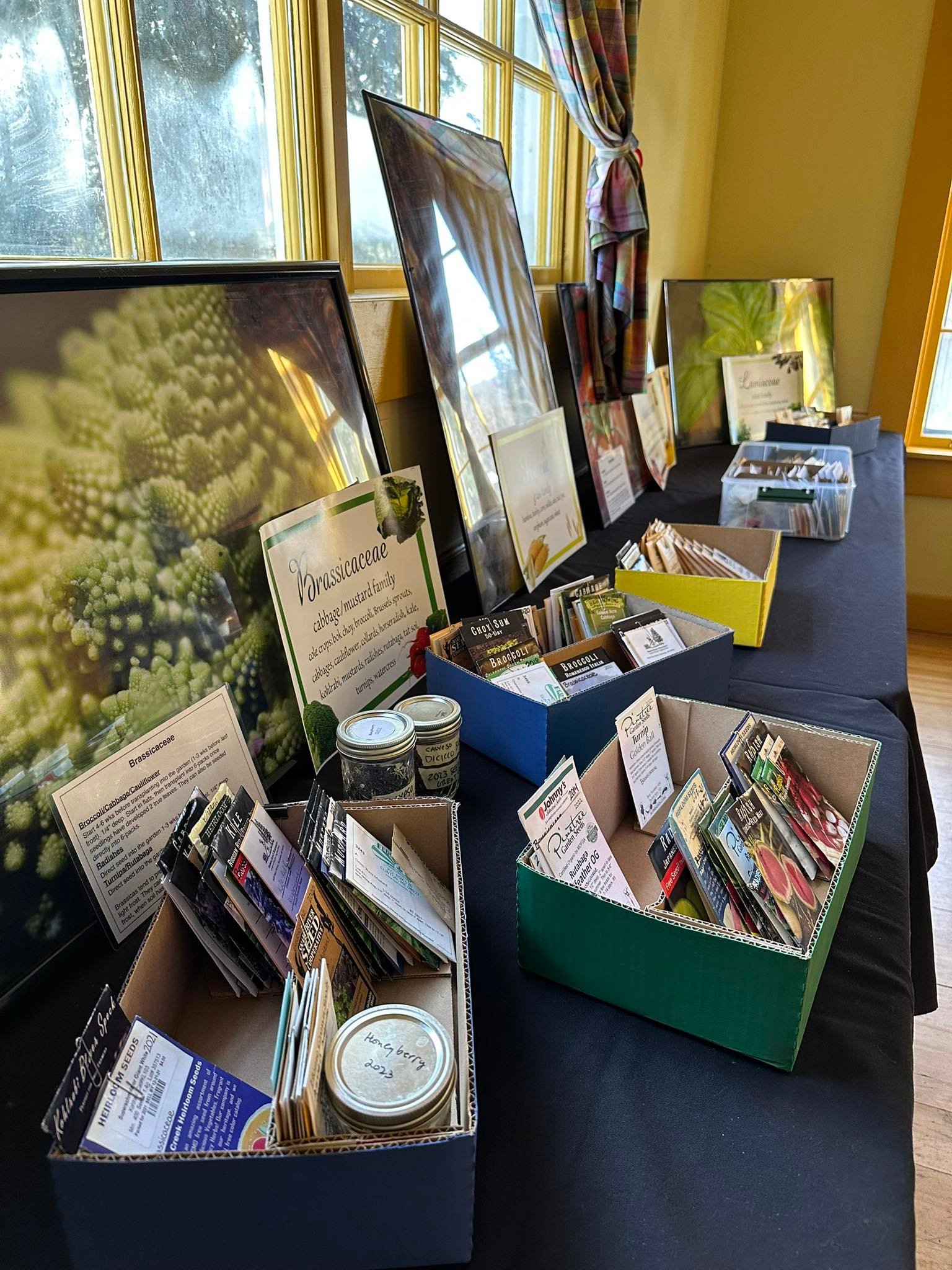 Growing Ester's Biodiversity: JTEL's seed library | Ester AK