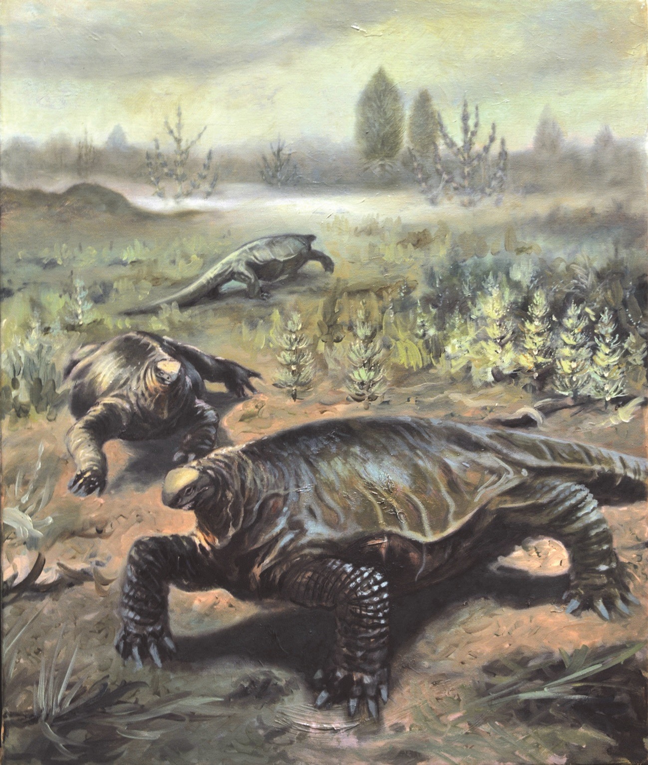 WORLD OF PREHISTORIC CREATURES | Alierasaurus ronchii, a genus of ...