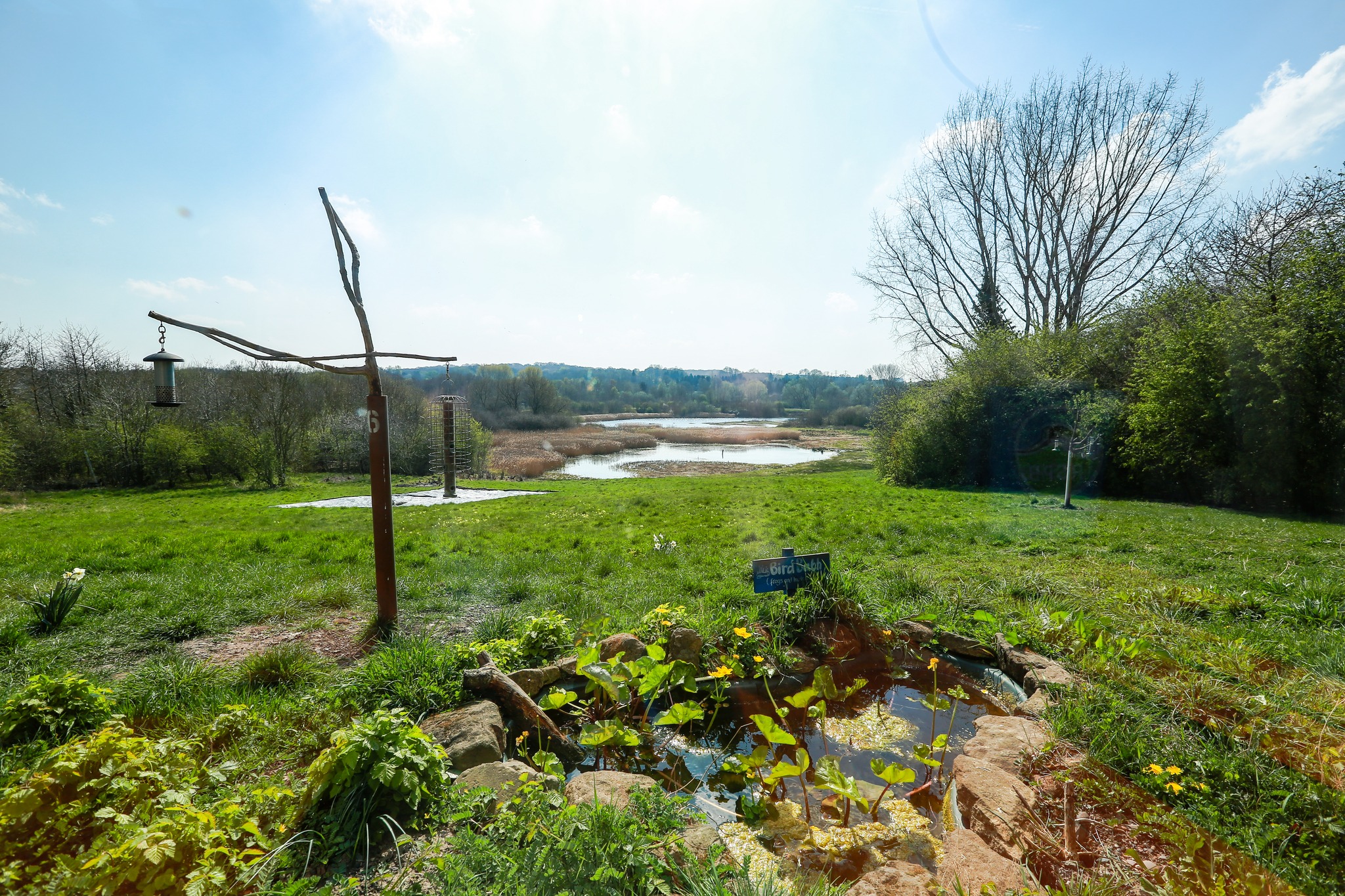 RSPB Sandwell Valley | Great Barr