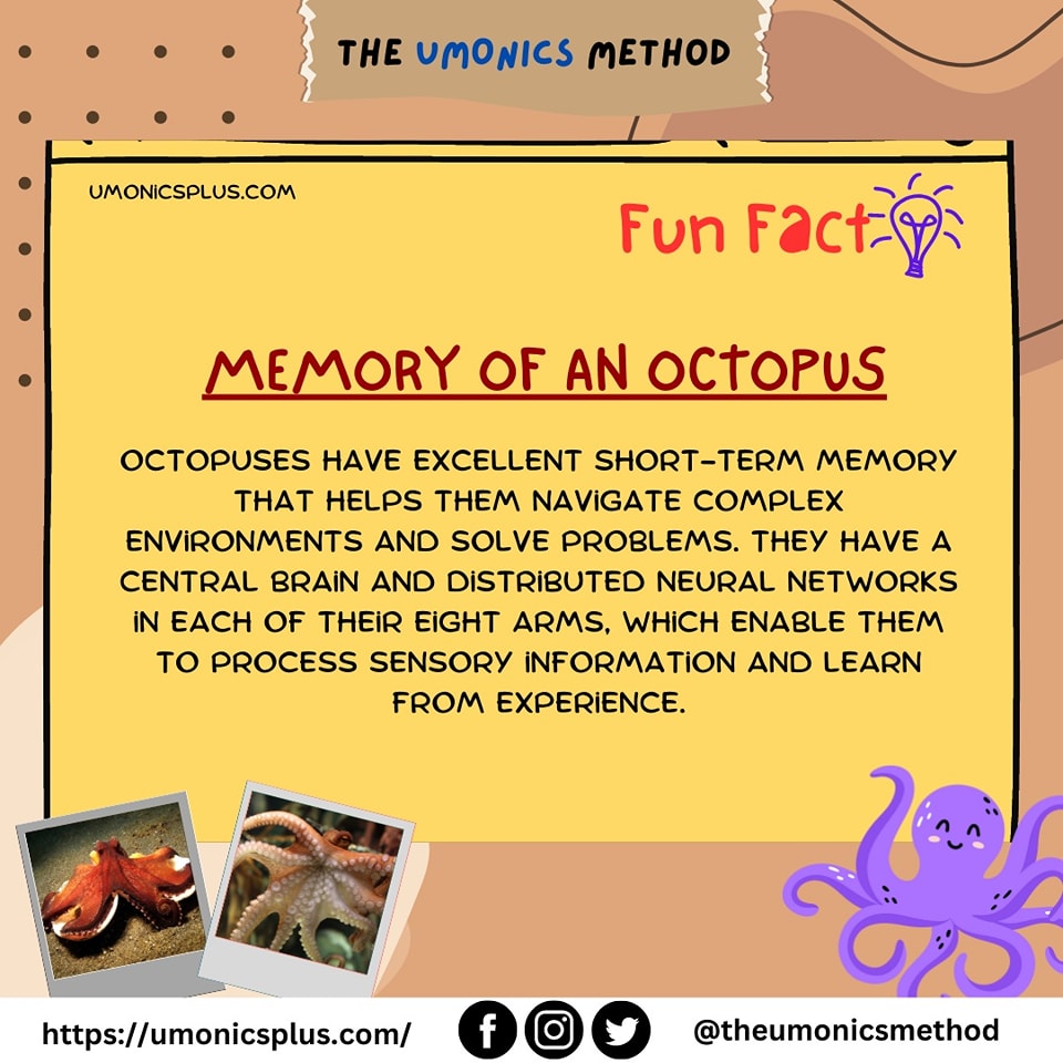 Did you know? Octopuses have been... - The Umonics Method | Facebook