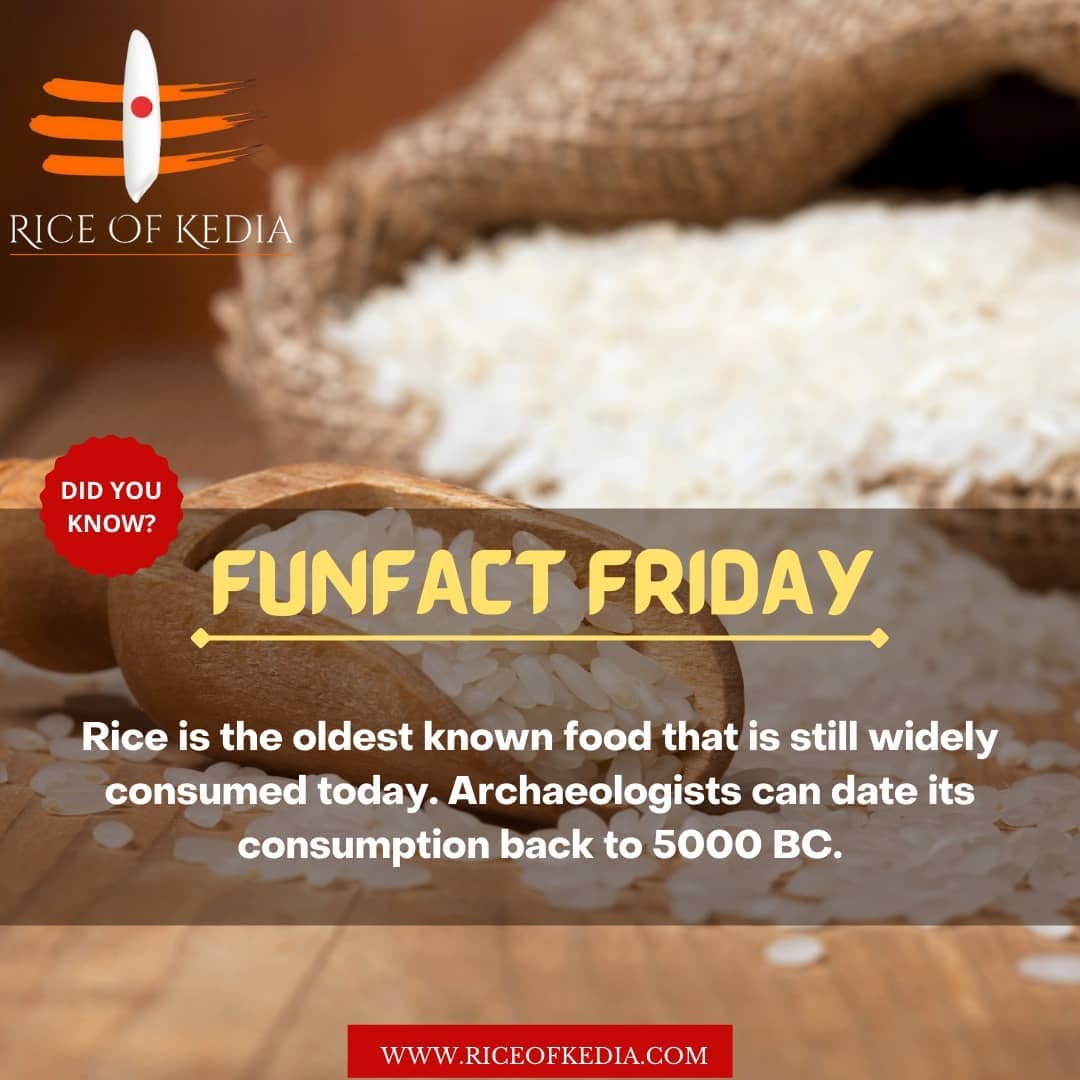 Rice of Kedia | Raipur