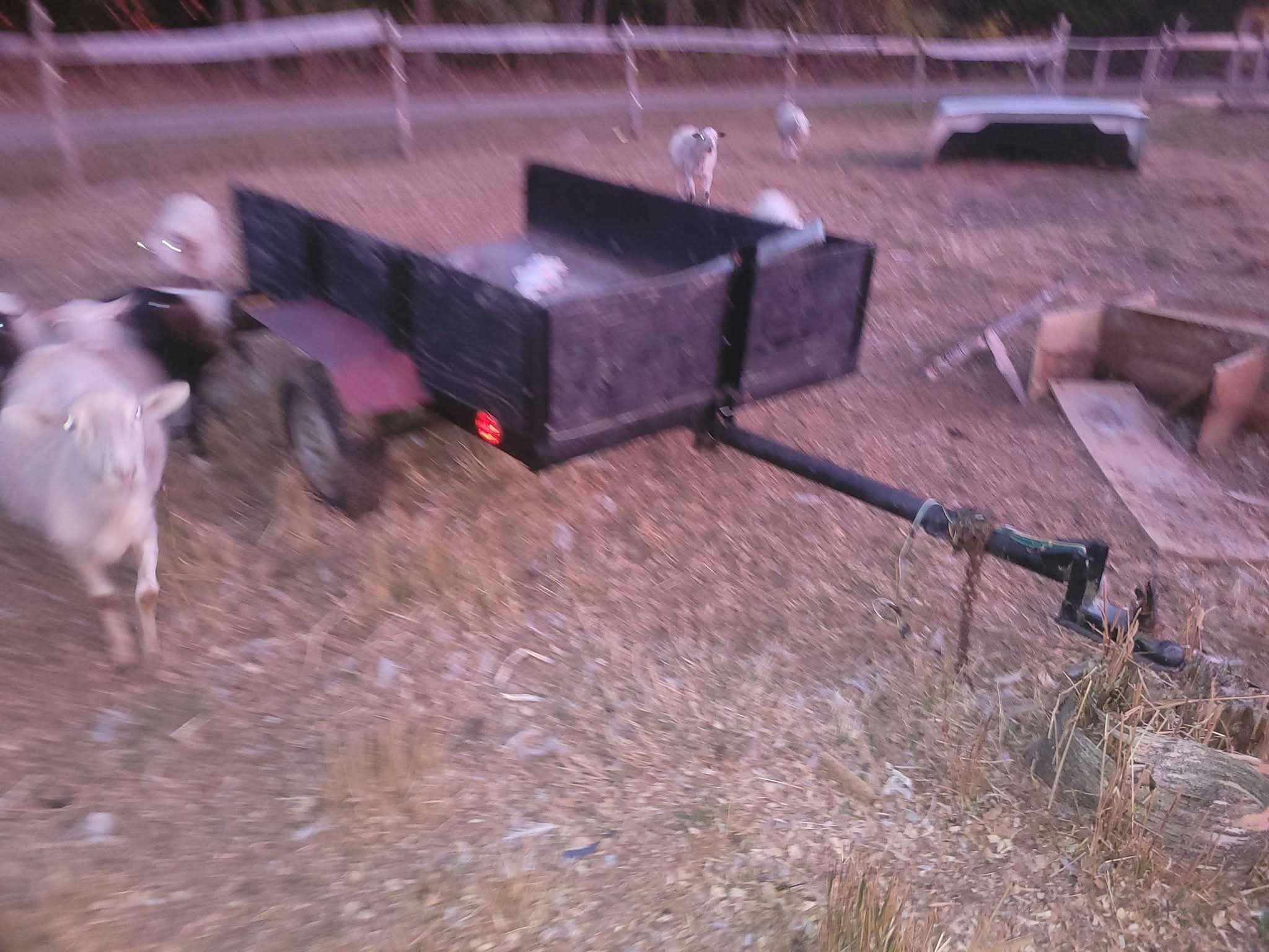Homemade utility dump trailer - Wheelbarrows, Carts & Wagons - Harcourt ...