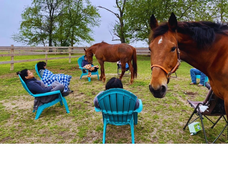 Heart to Horse: Live Meditation with Horses