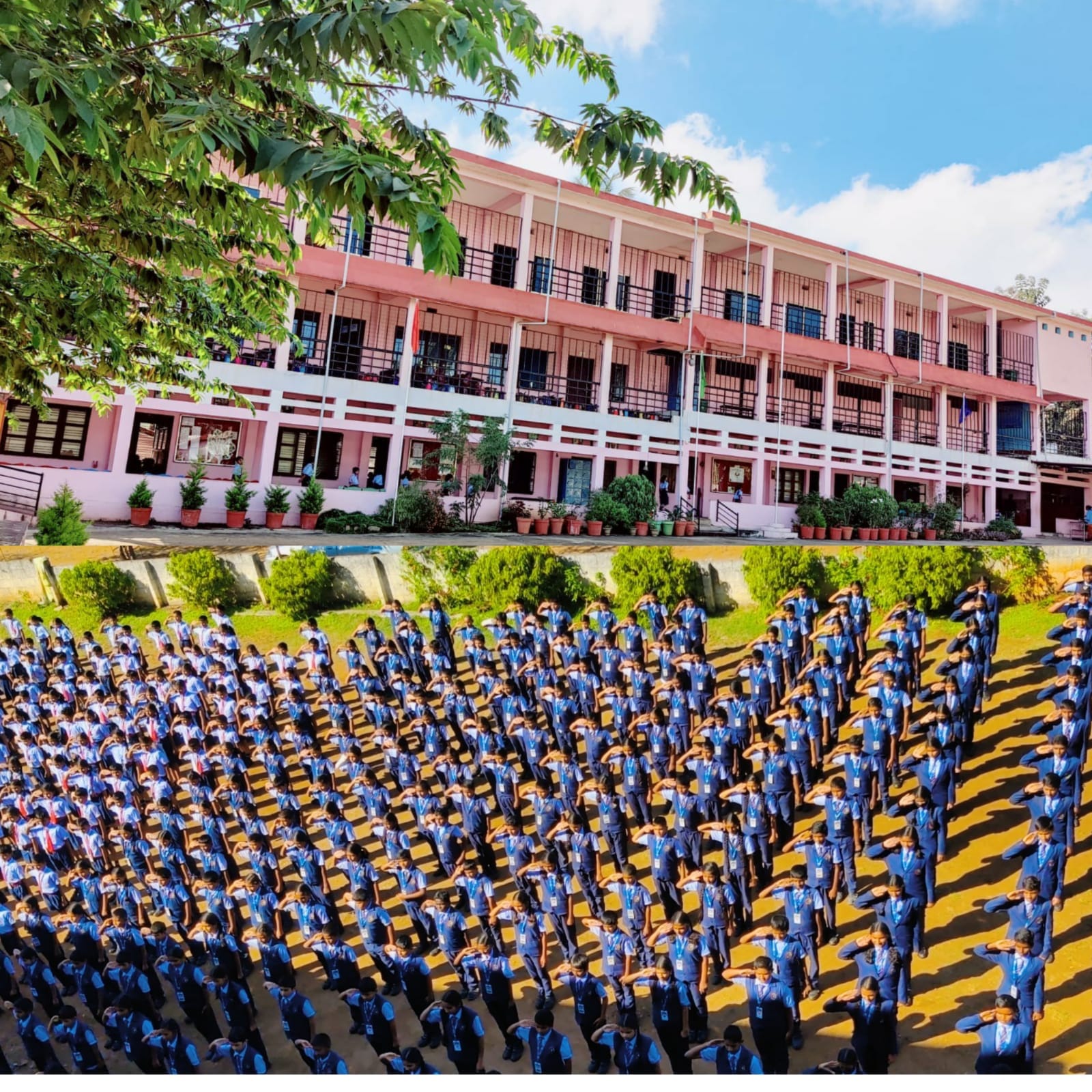 The Education Inn Public School and Coaching Center Digri added a new ...