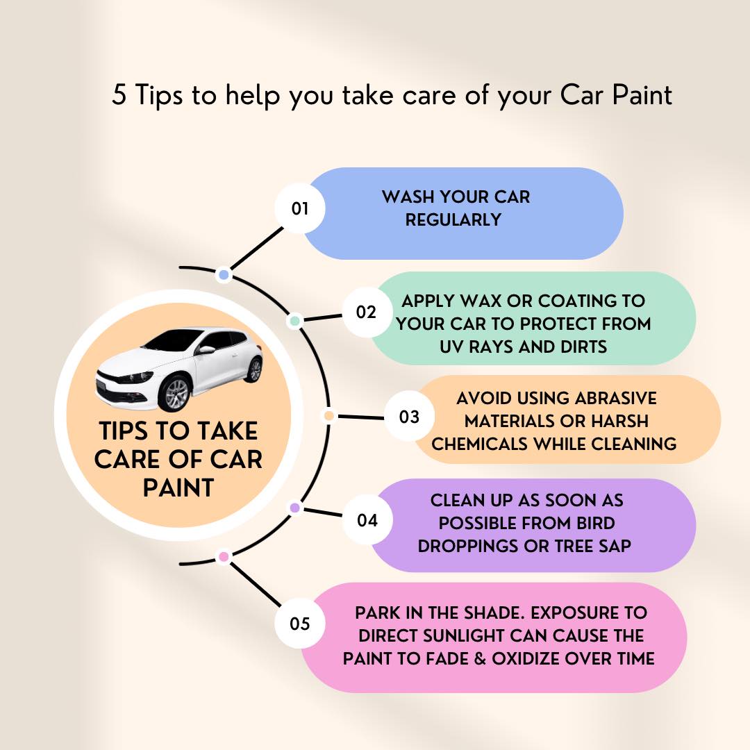 Can I Use Detergent to Wash My Car: Unveiling the Truth