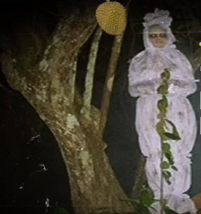 Pocong - Home  Facebook