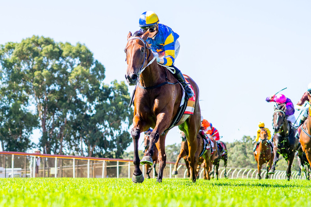 Simon Miller Racing | Ascot WA
