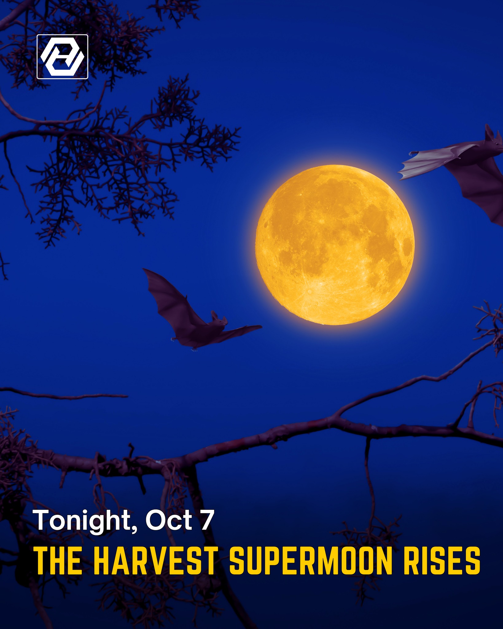 AyE - 🌕 Tonight: The Harvest Supermoon Rises! 🌕 On this October 7th ...