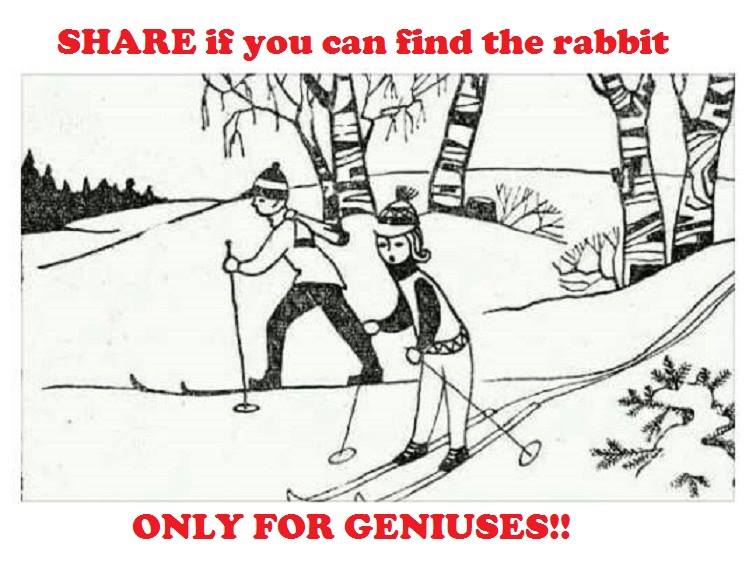 Quizly IQ - Can you find the hidden rabbit? Next, how well... | Facebook