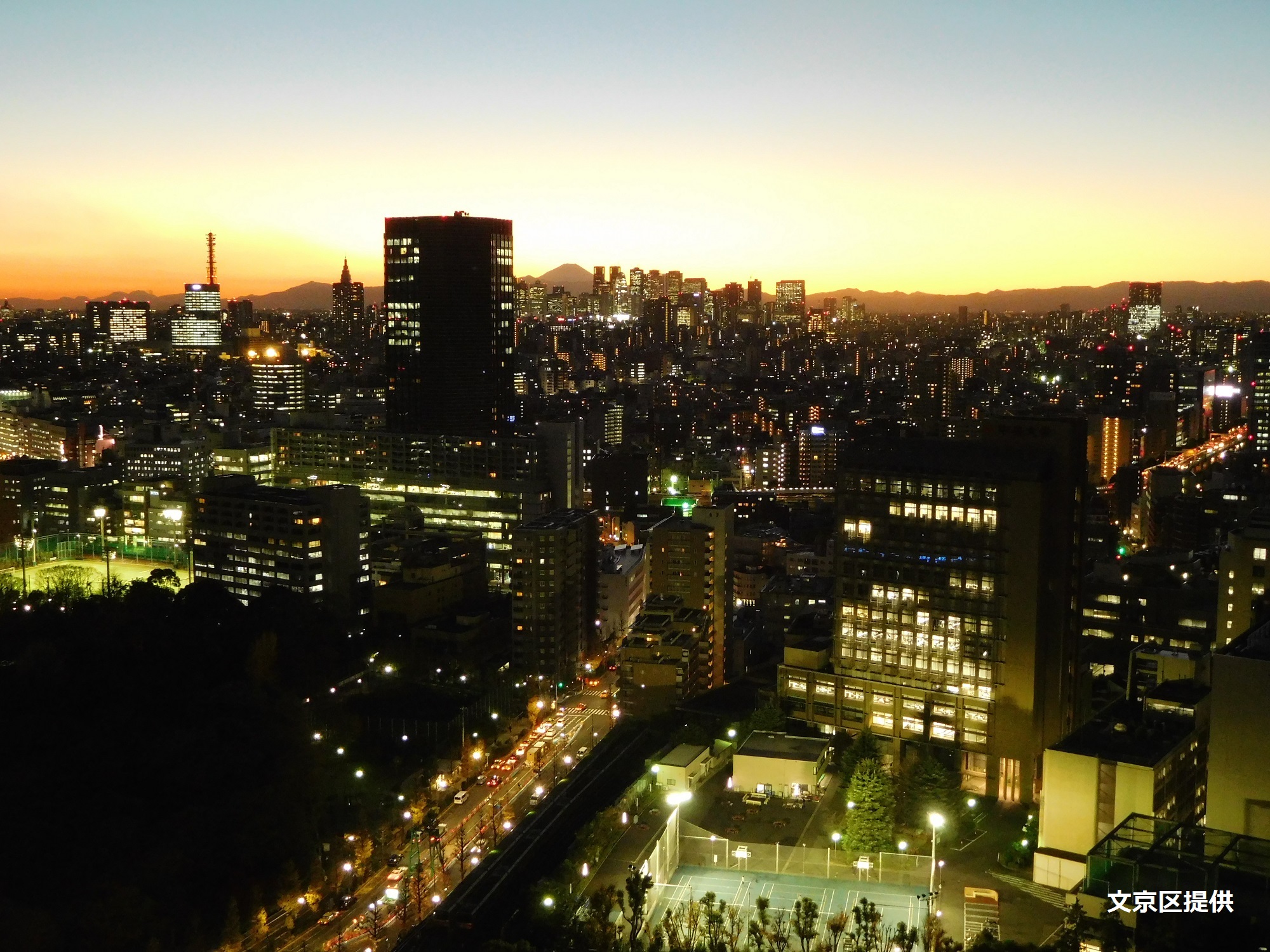 Non-touristy spots in Tokyo with city views in parks or streets?