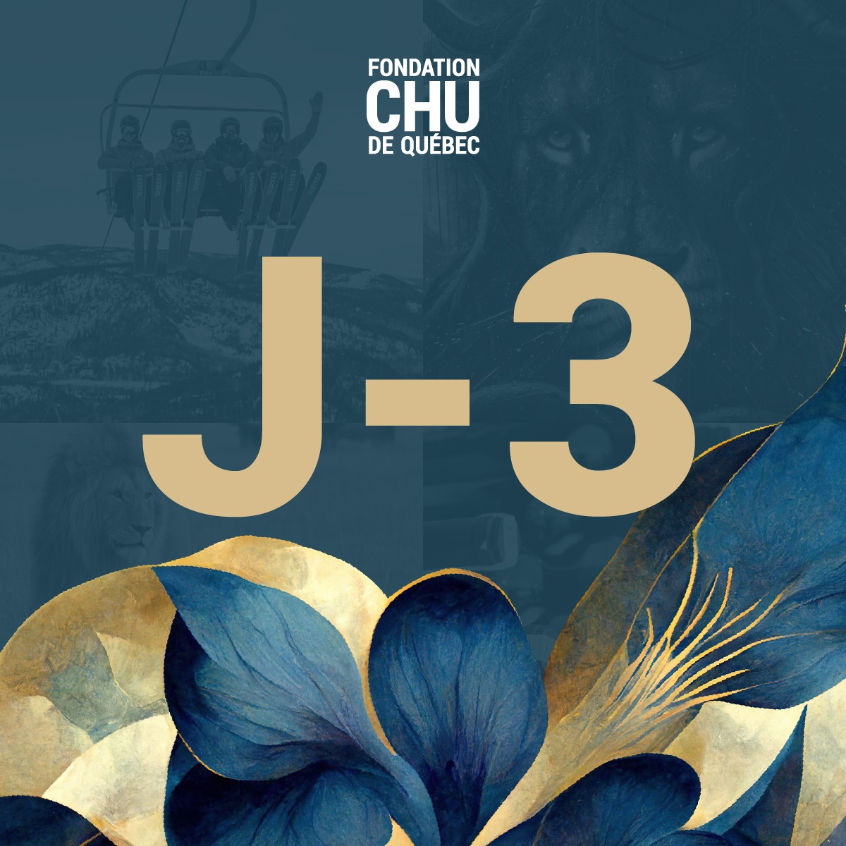 Fondation du CHU de Québec - ⌛ Le compte à rebours est lancé! 👐 Ce ...