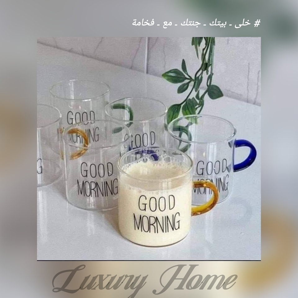 Luxury Home | Nasr City
