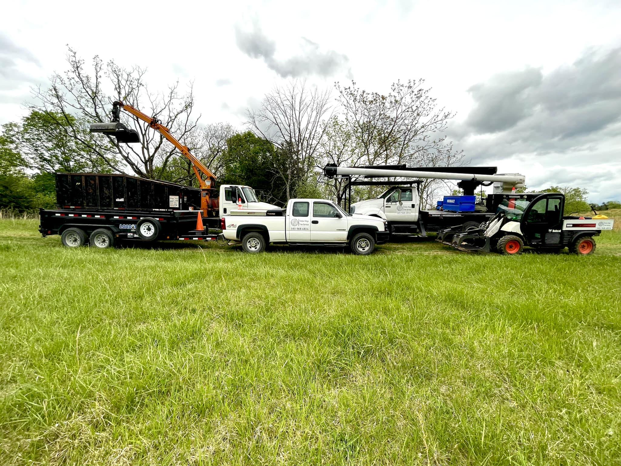 Timber Ridge Tree Service LLC