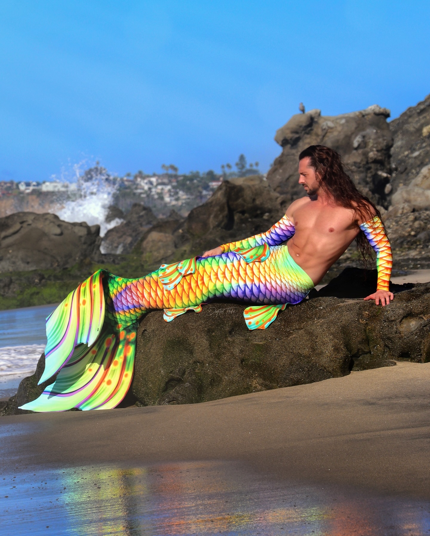 Merman Thommy - 🧜🏻‍♂️👀Look at those COLORS!!!🌈🐠 - The... | Facebook