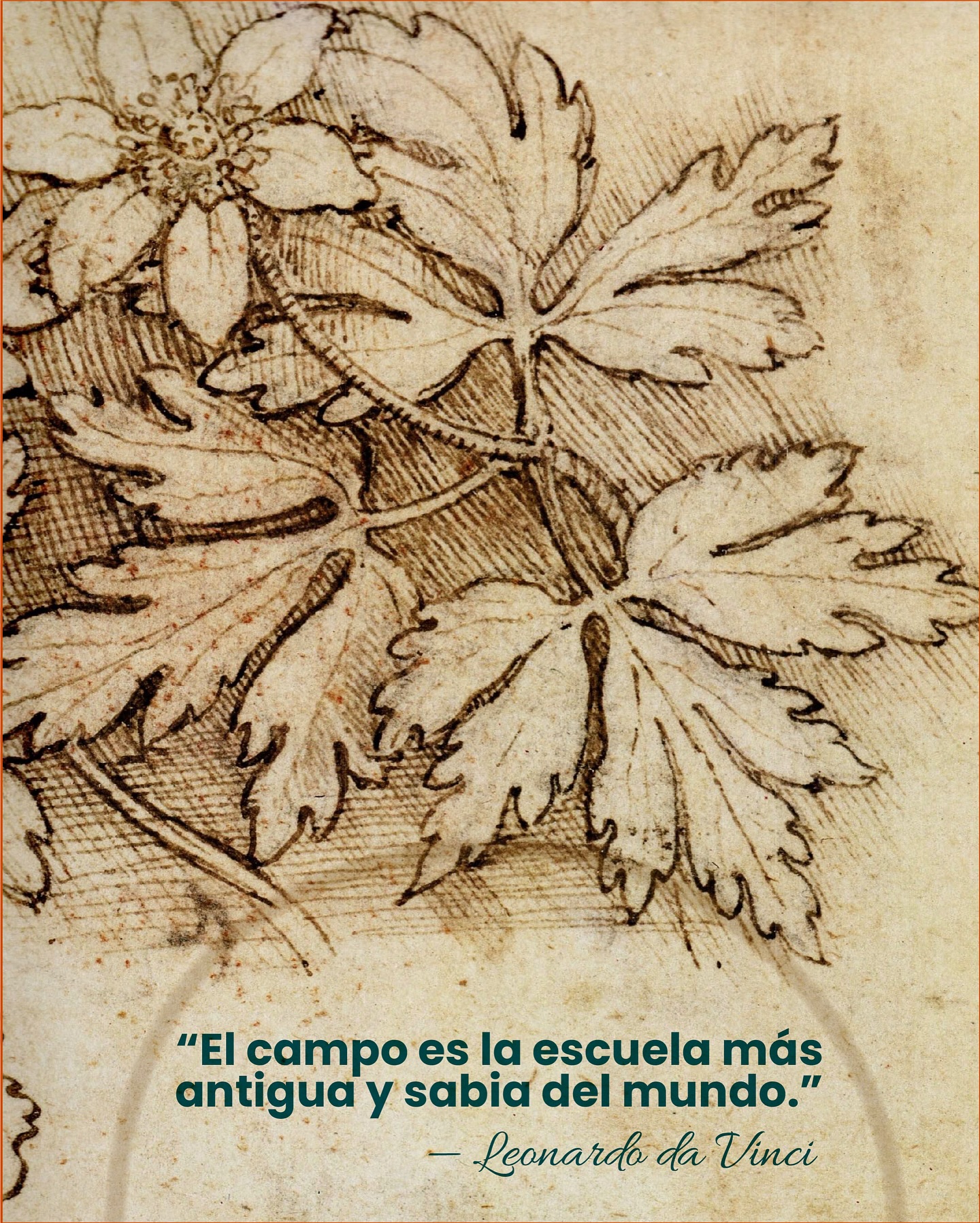Industrias - . “El campo es la escuela más antigua y sabia del mundo ...