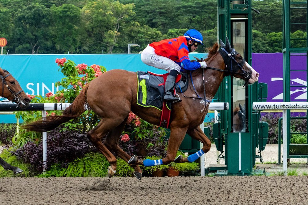 The Bullet leads all the... - Fitzsimmons Racing Singapore