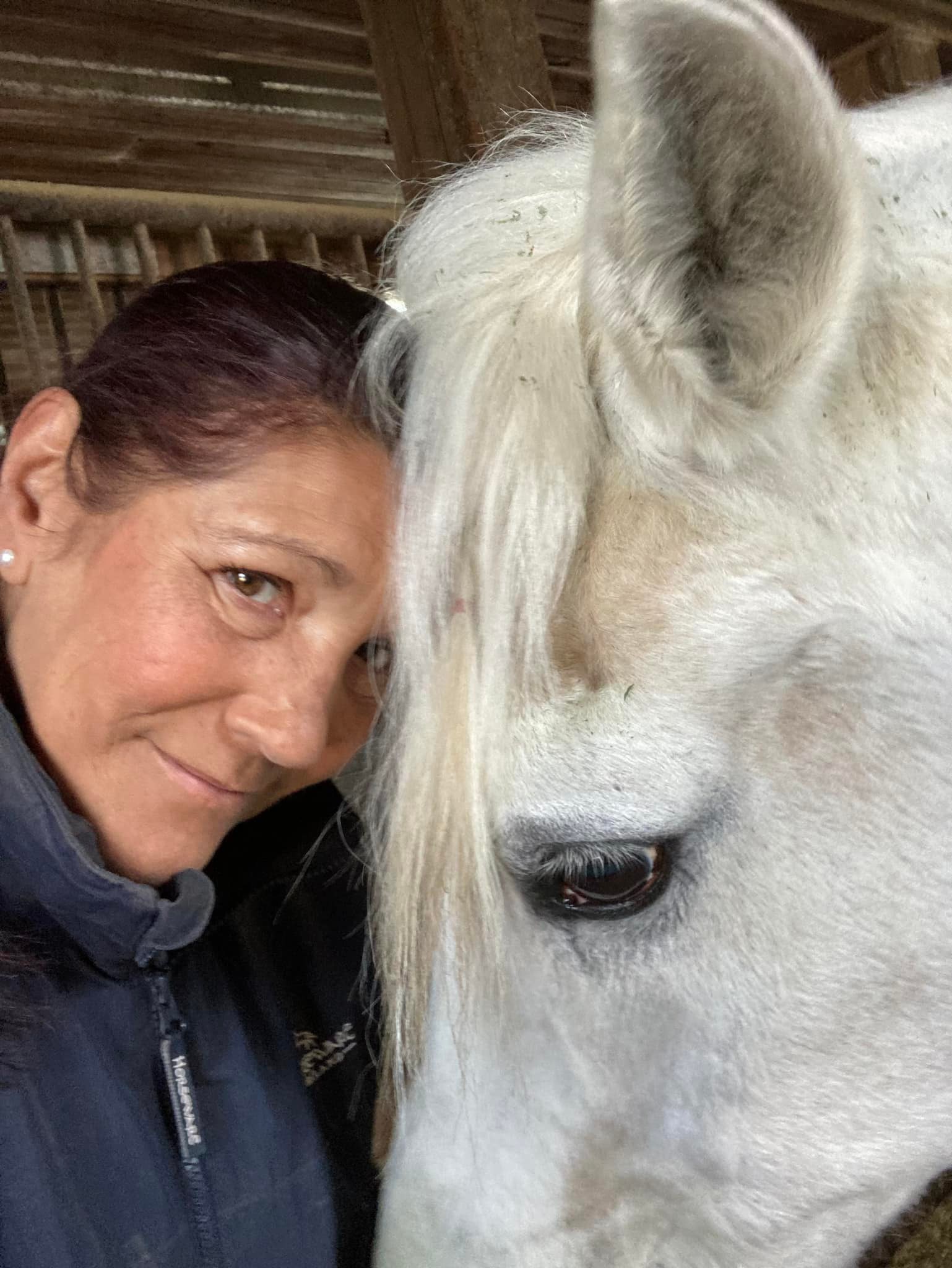 Windy Ridge Stables | Middletown CT