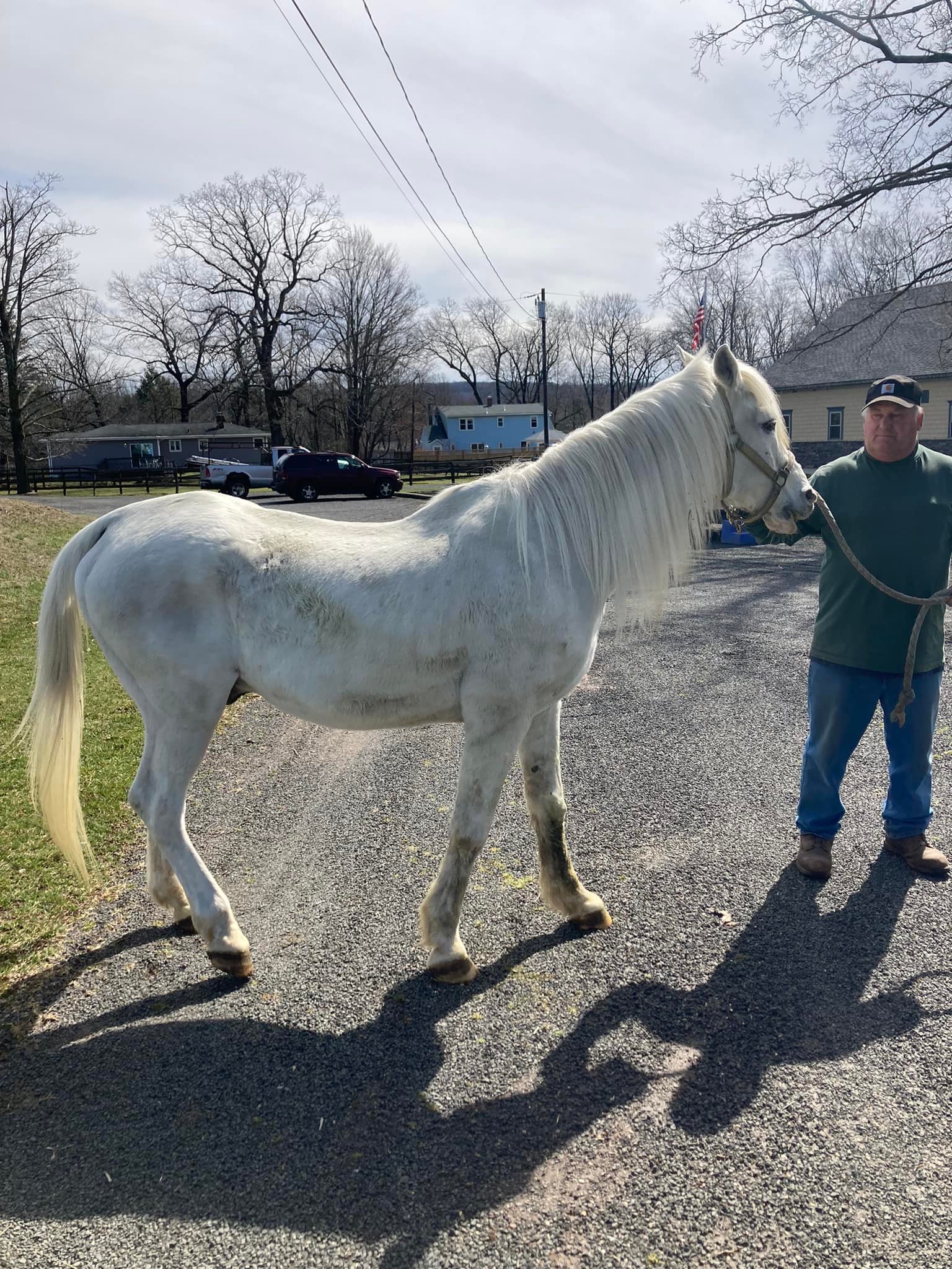 Windy Ridge Stables | Middletown CT