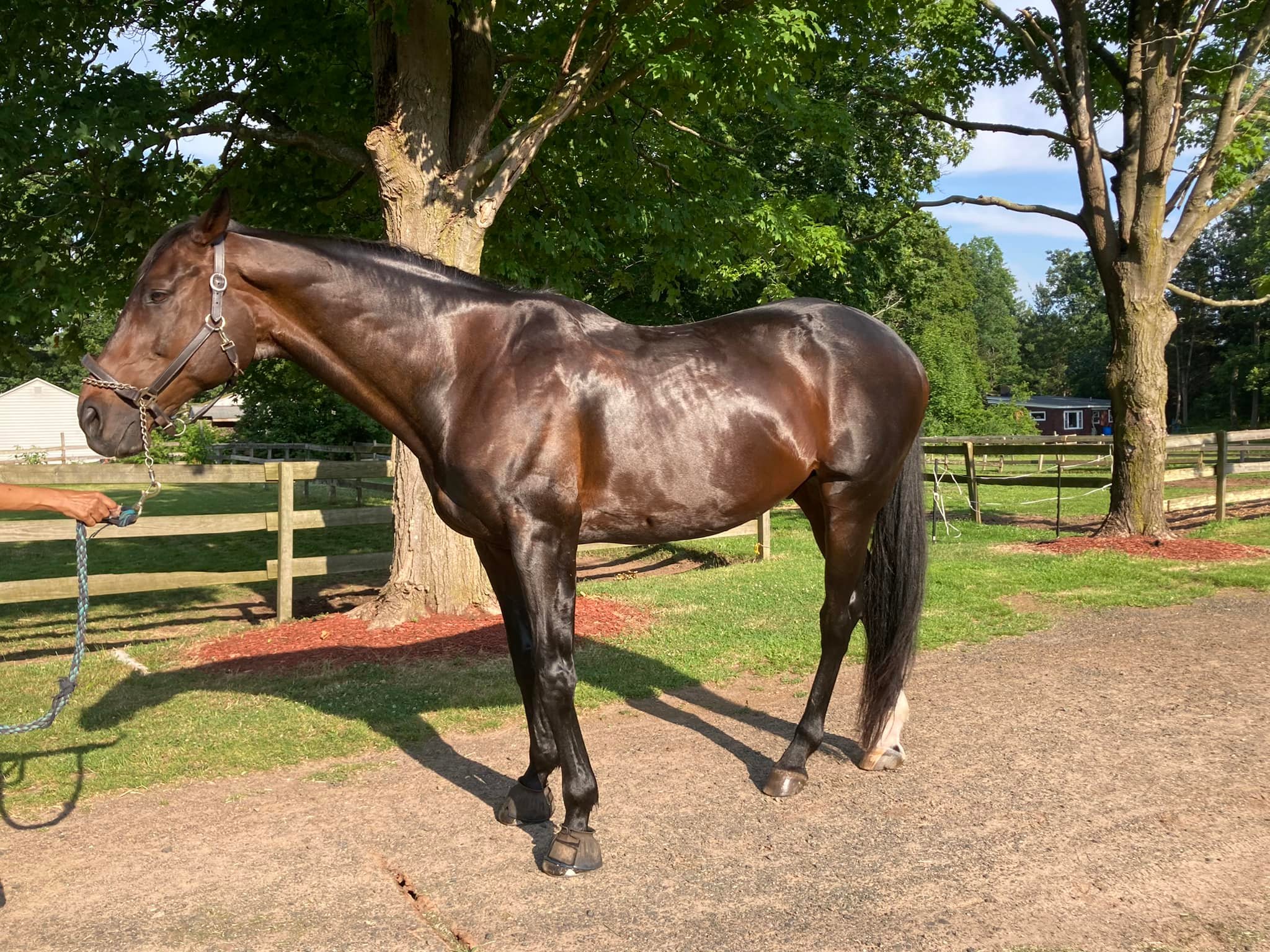 Windy Ridge Stables | Middletown CT