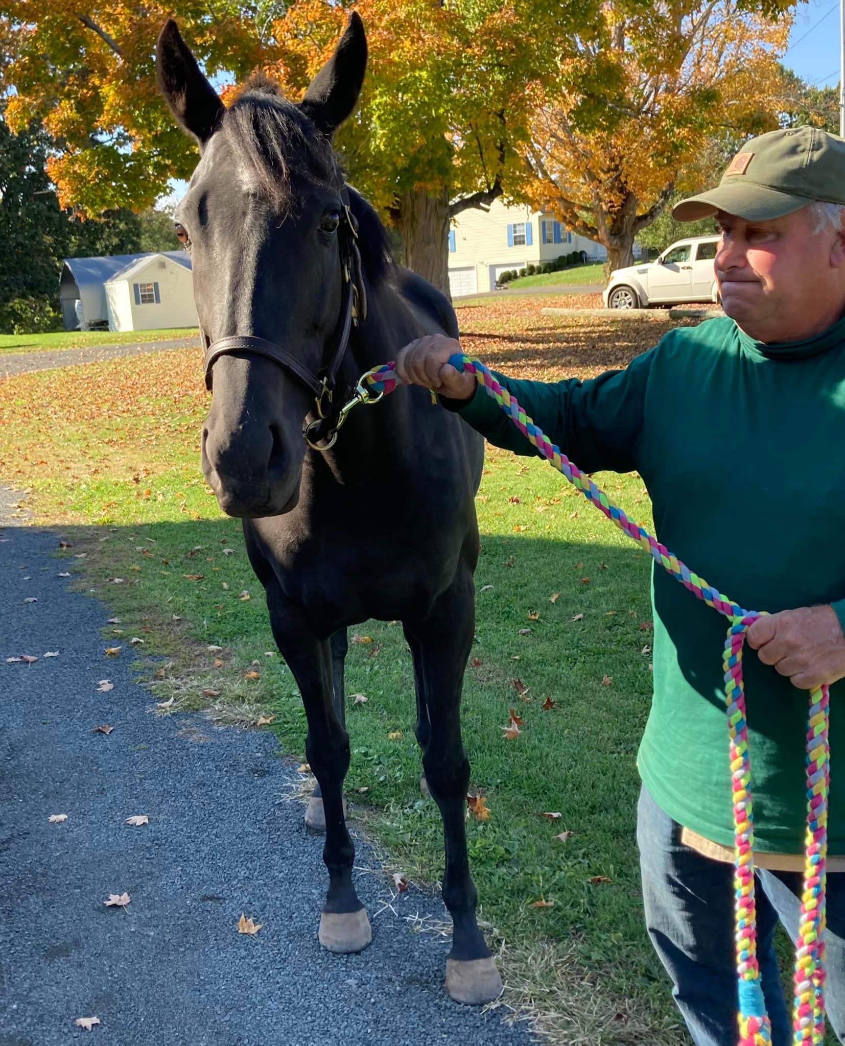 Windy Ridge Stables | Middletown CT
