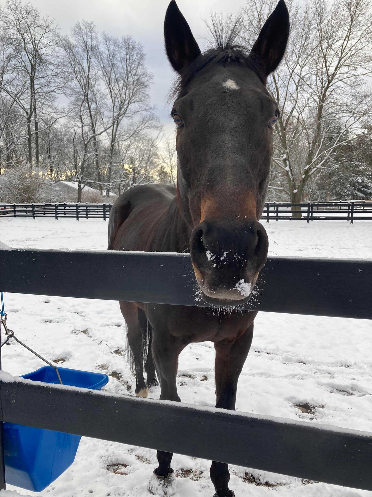 Windy Ridge Stables | Middletown CT