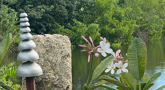 Key West Tropical Forest & Botanical Garden | Key West FL