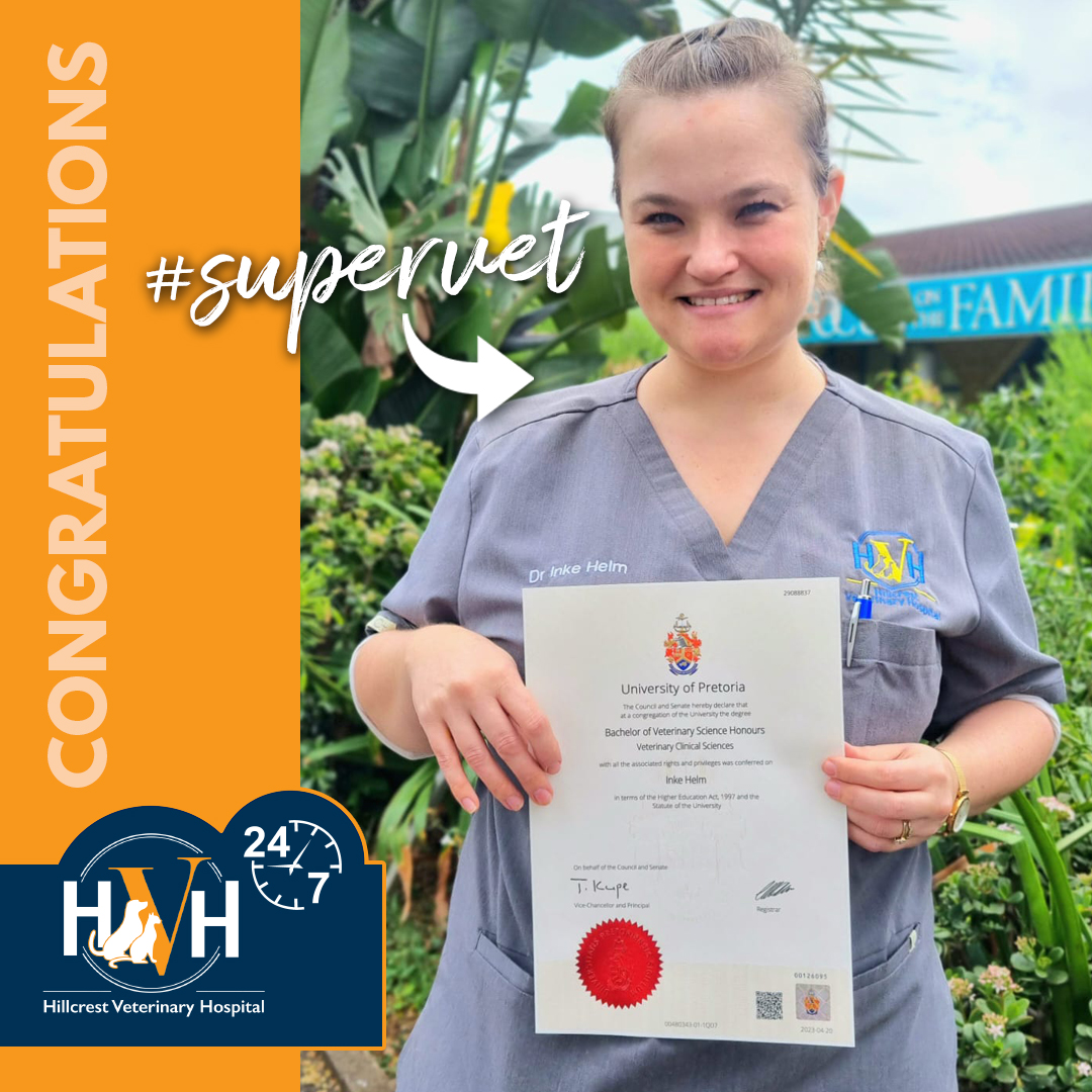 We are celebrating Dr Inke... - Hillcrest Veterinary Hospital