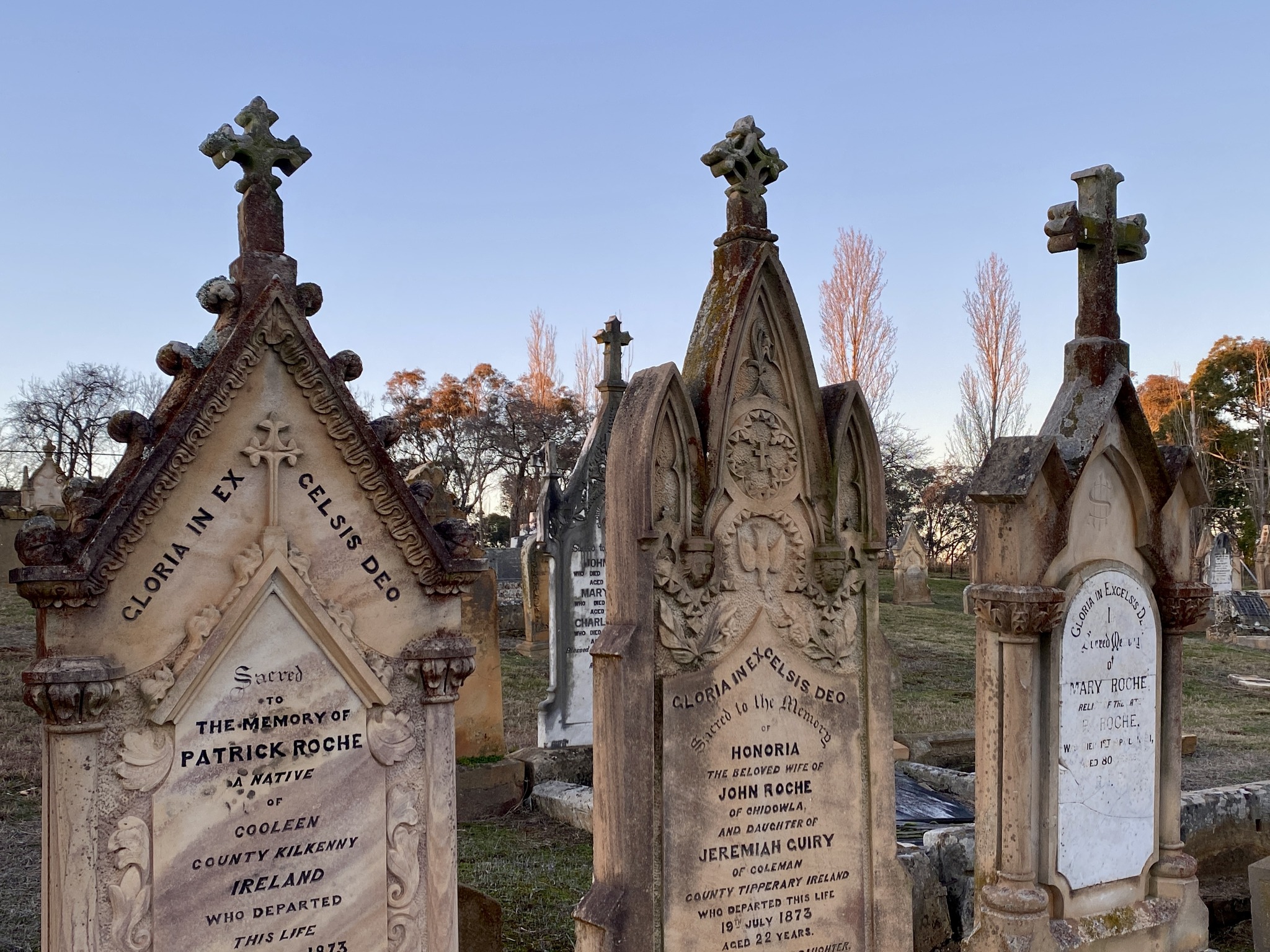 Digging up an Irish Past