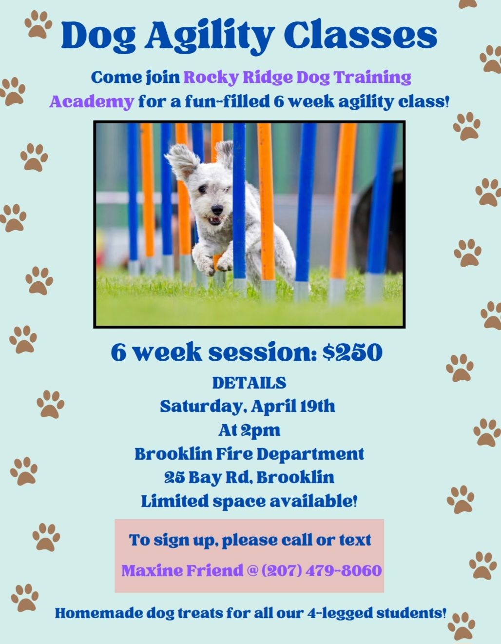 Rocky Ridge Dog Training Academy | Sedgwick ME