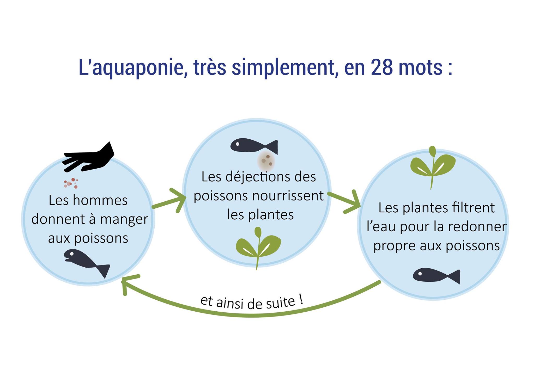 Pôle Eco Design - [PROJET MARCOTTE] Nous produisons les supports de ...