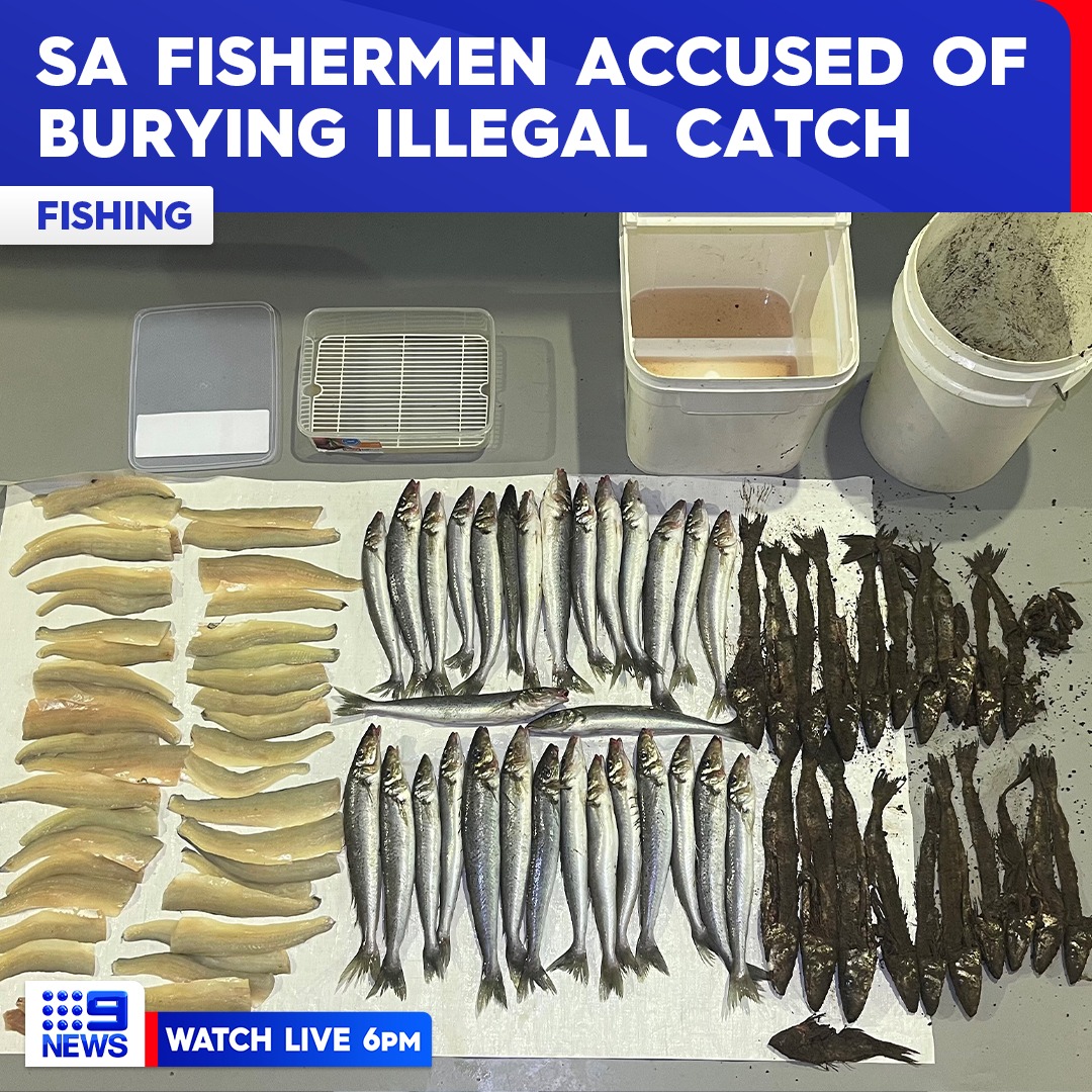 9 News - Two men have found themselves in hot water after catching too ...