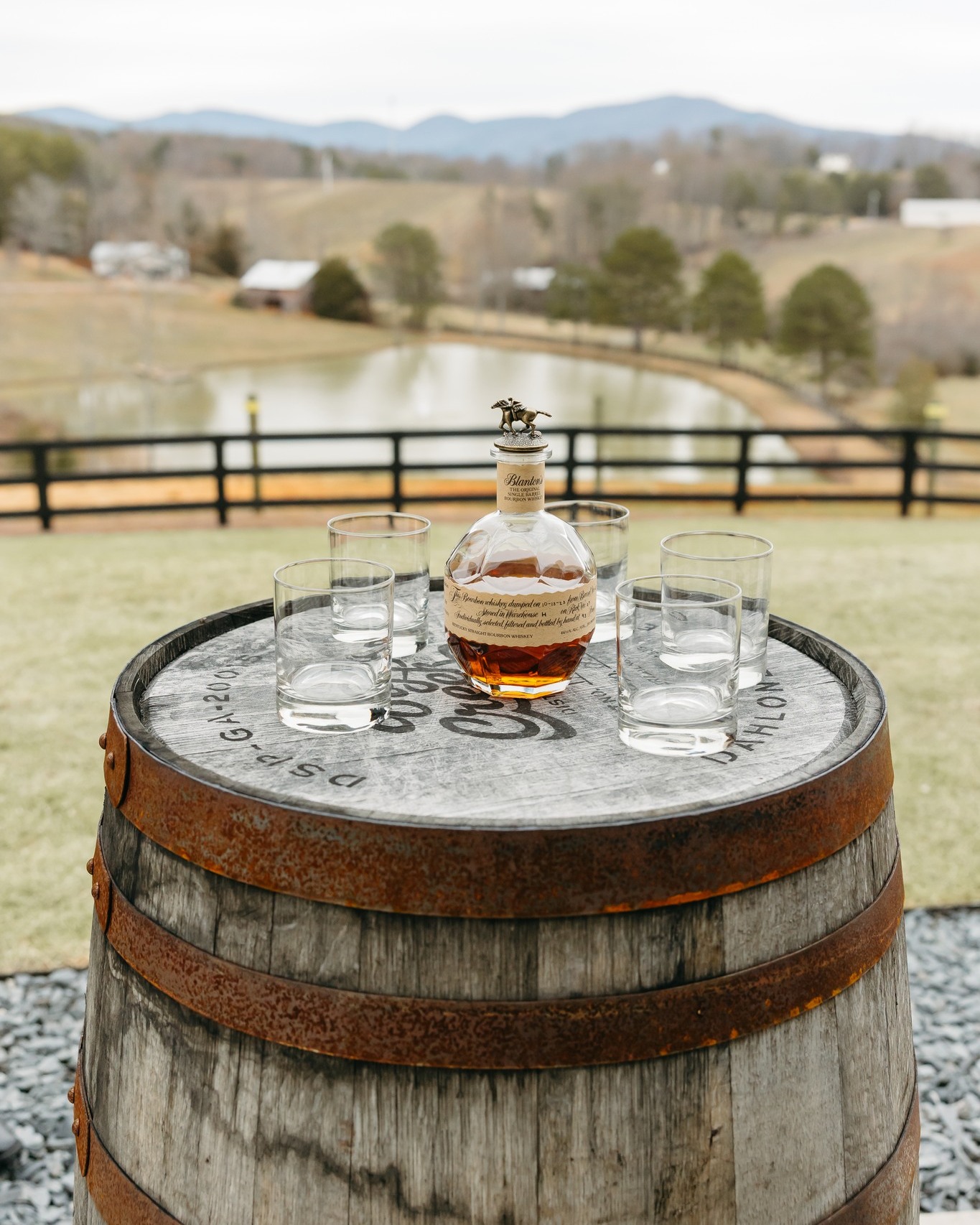 The Overlook at KC Bison Ranch | Dahlonega GA