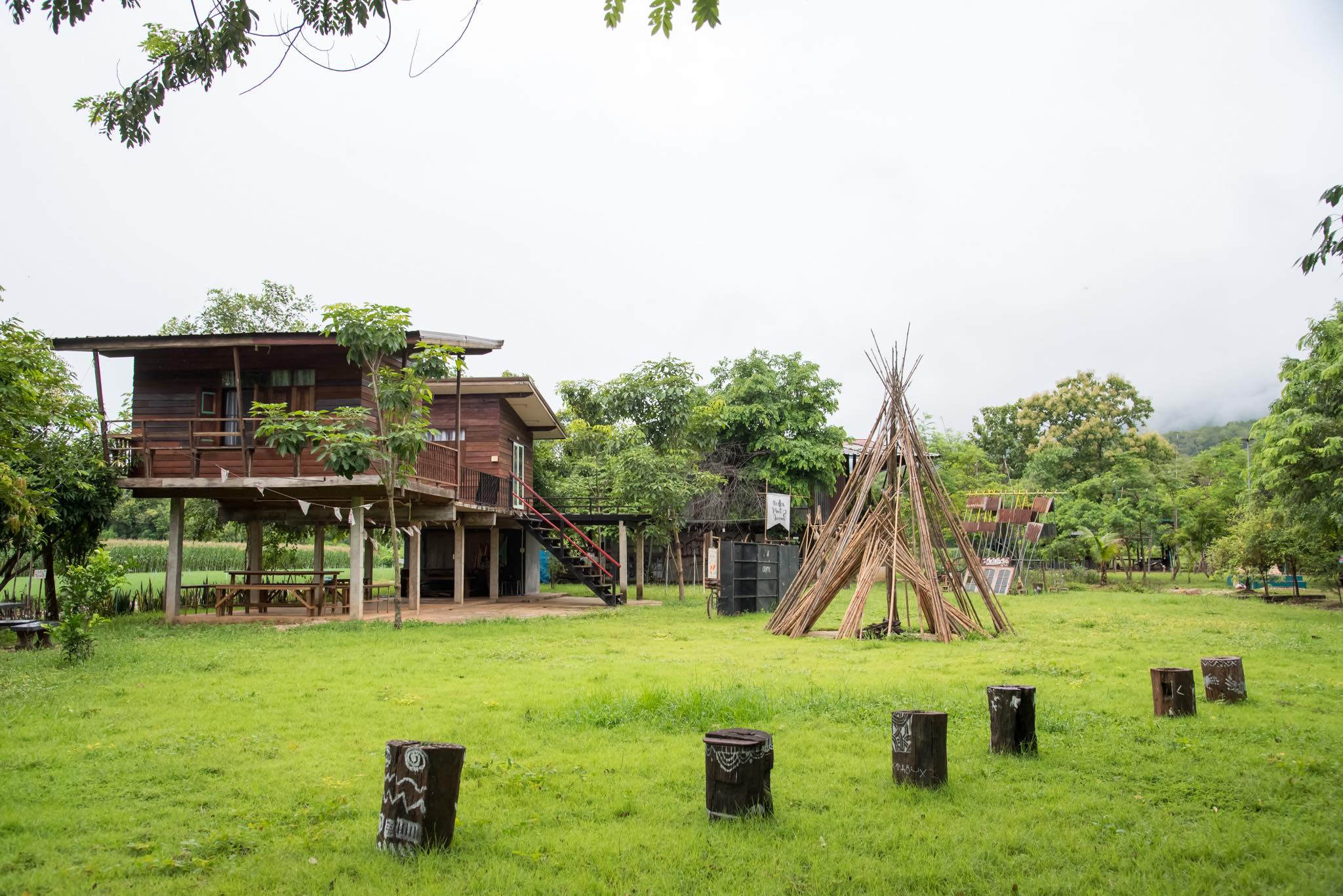 กิ่งก้านใบ LearnScape