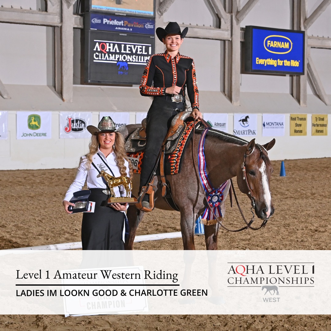 aqha-showing