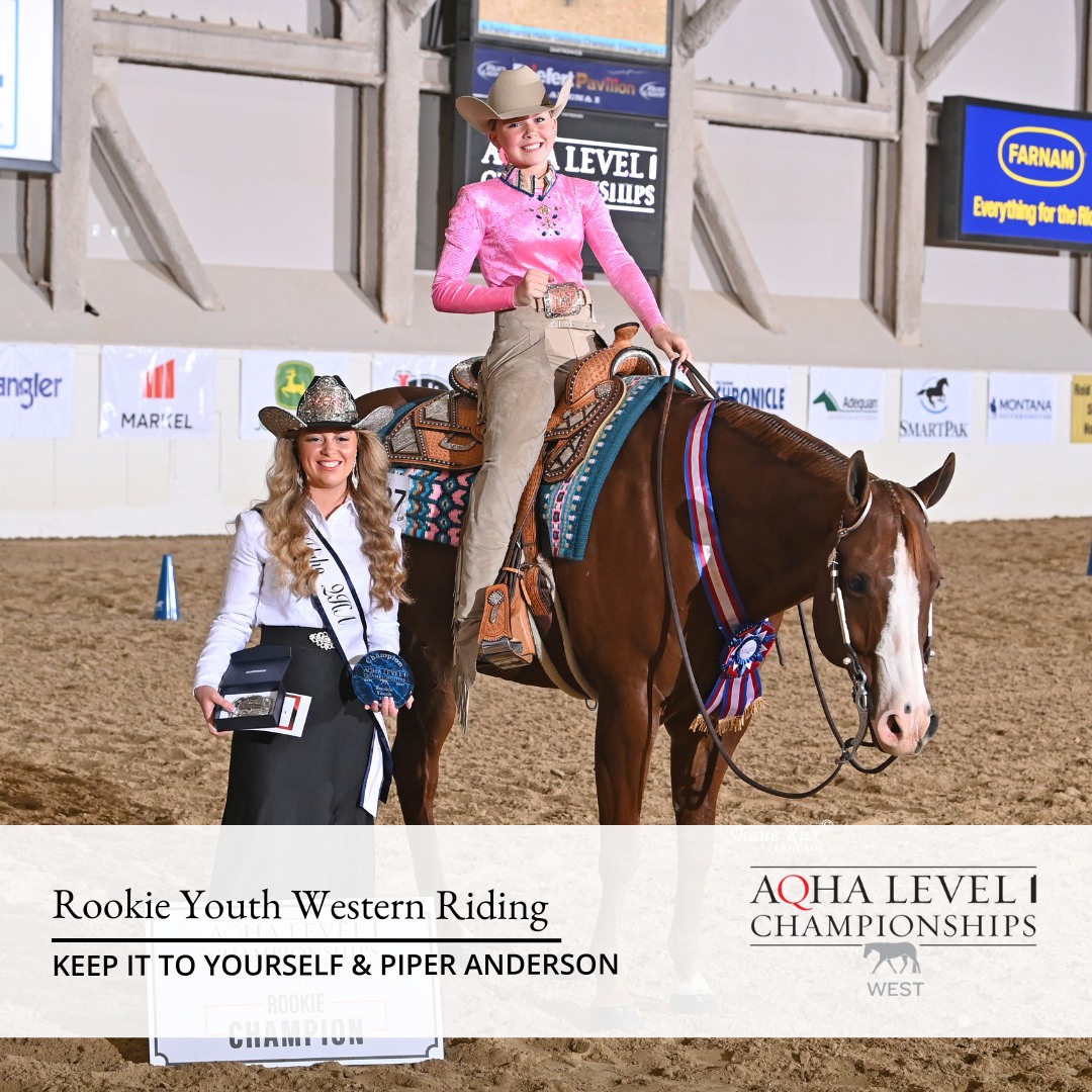 AQHA Showing