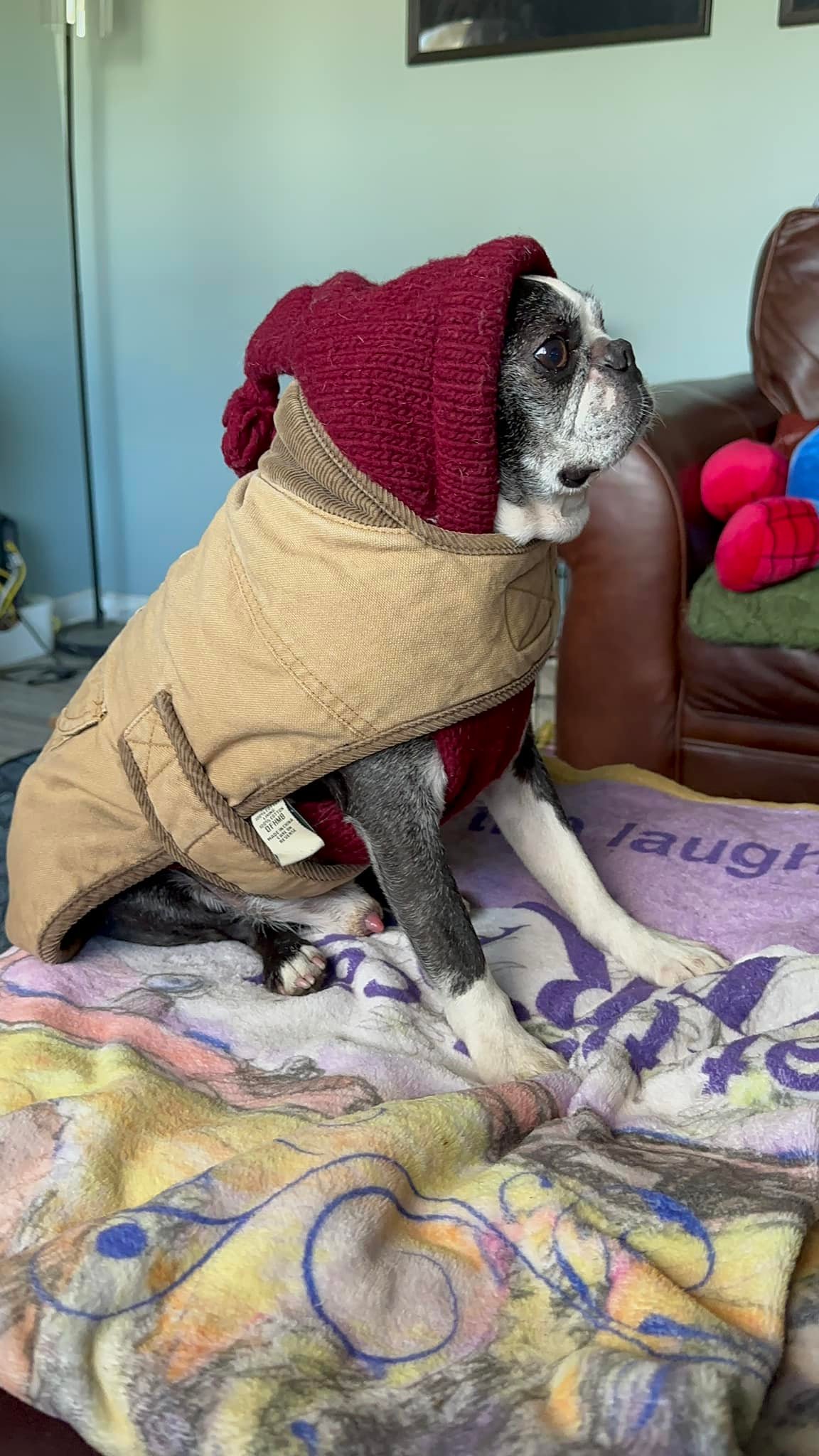 dress in layers funny New England, we in when we go out 😂 🥶 I've got my barn coat along with a beautiful seasonal sweater with built in winter hat! too many layers of clothes meme