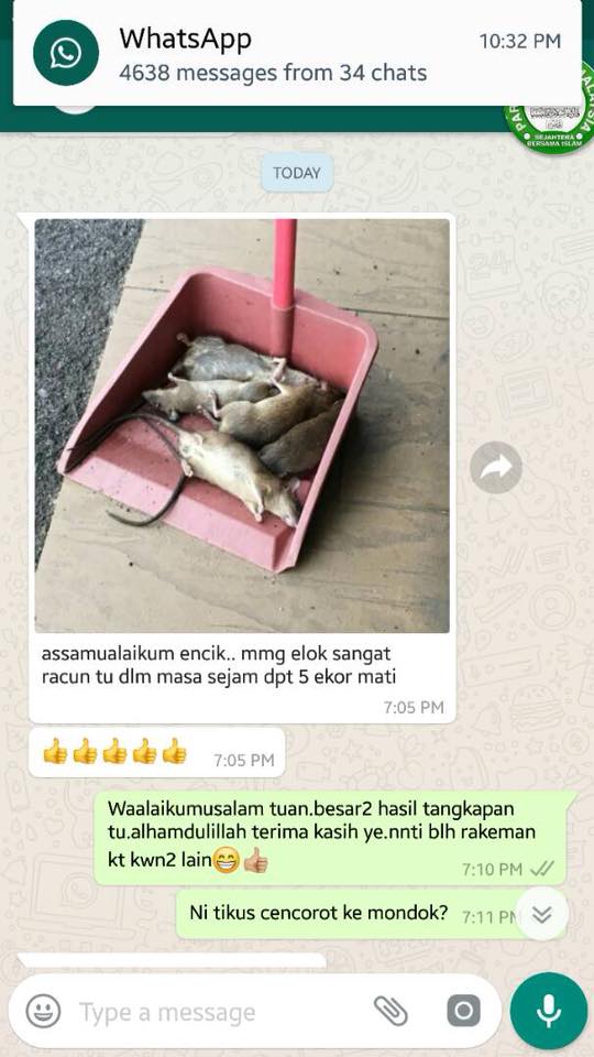 Racun Tikus Viral Photos Facebook